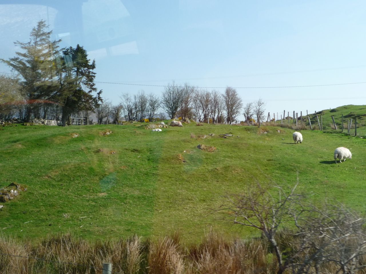 April 12th (46)